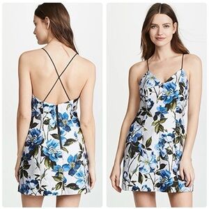 NWT Alice + Olivia Tayla Blue Floral Jacquard Mini Dress Womens Sz 10 $440 New